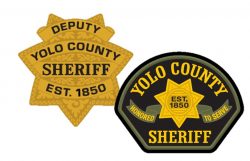 badge-003-250x161